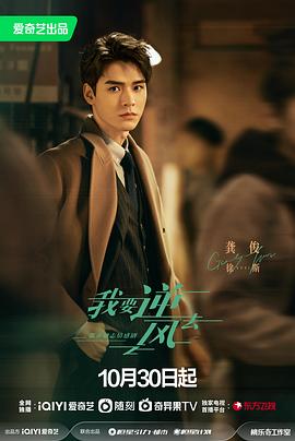 甘肃网站优化服务公司