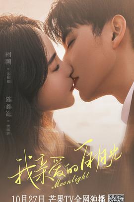 南屏镇网站seo优化